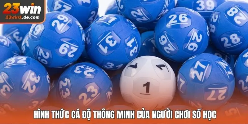 Hình thức cá độ thông minh của người chơi số học