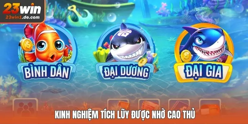 Kinh nghiệm tích lũy được nhờ cao thủ
