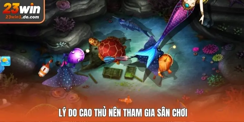 Lý do cao thủ nên tham gia sân chơi