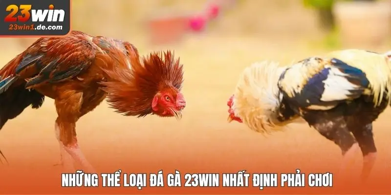 Những thể loại đá gà 23WIN nhất định phải chơi